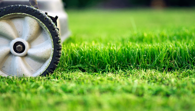 lawnmower and fresh cut grass