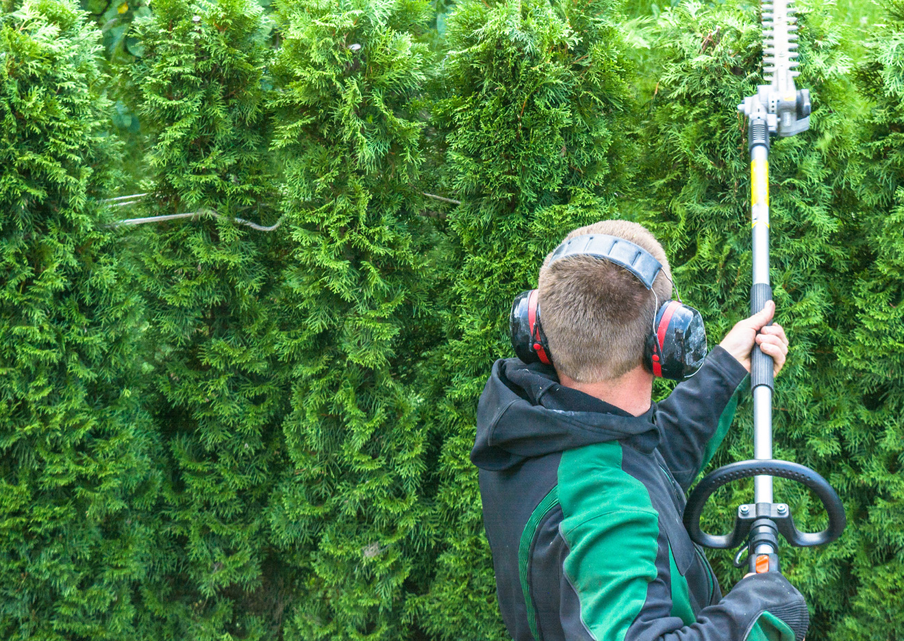 landscaping tech cutting bushes