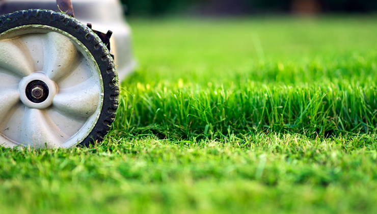 how-to-improve-your-revenue-stream-with-a-lawn-care-scheduling-app